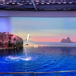 Meet your Posher, Antonia